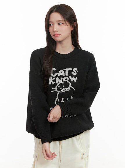 Cozy Graphic Knit Sweater IJ510