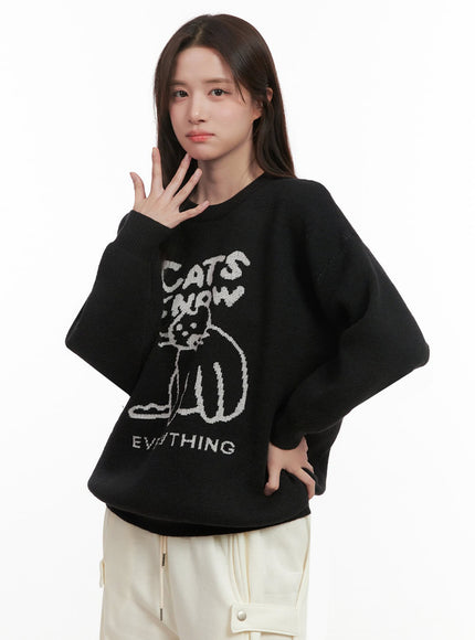 Cozy Graphic Knit Sweater IJ510