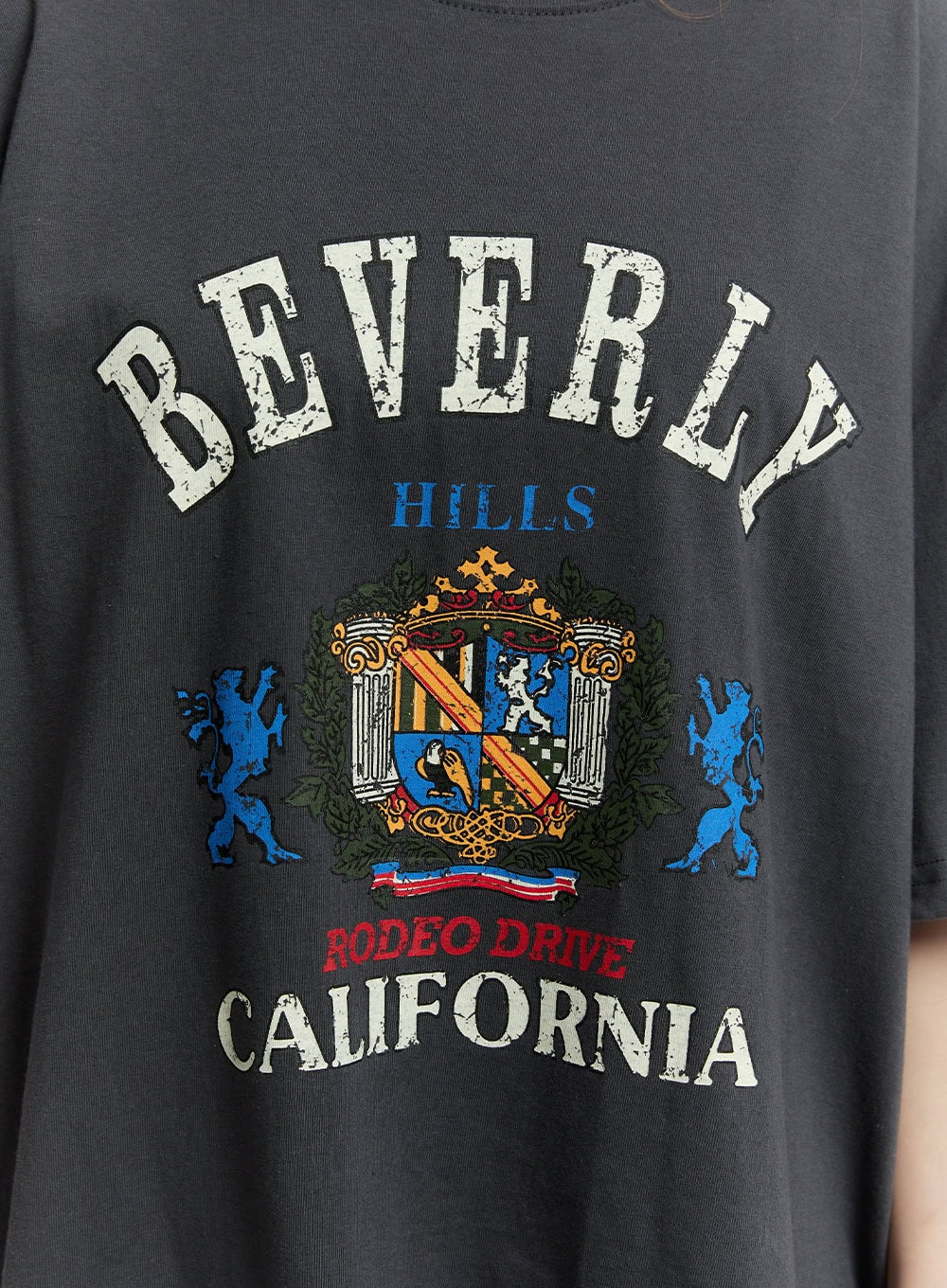 beverly-graphic-oversize-t-shirt-cy501