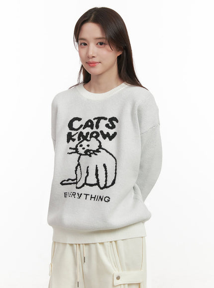 Cozy Graphic Knit Sweater IJ510