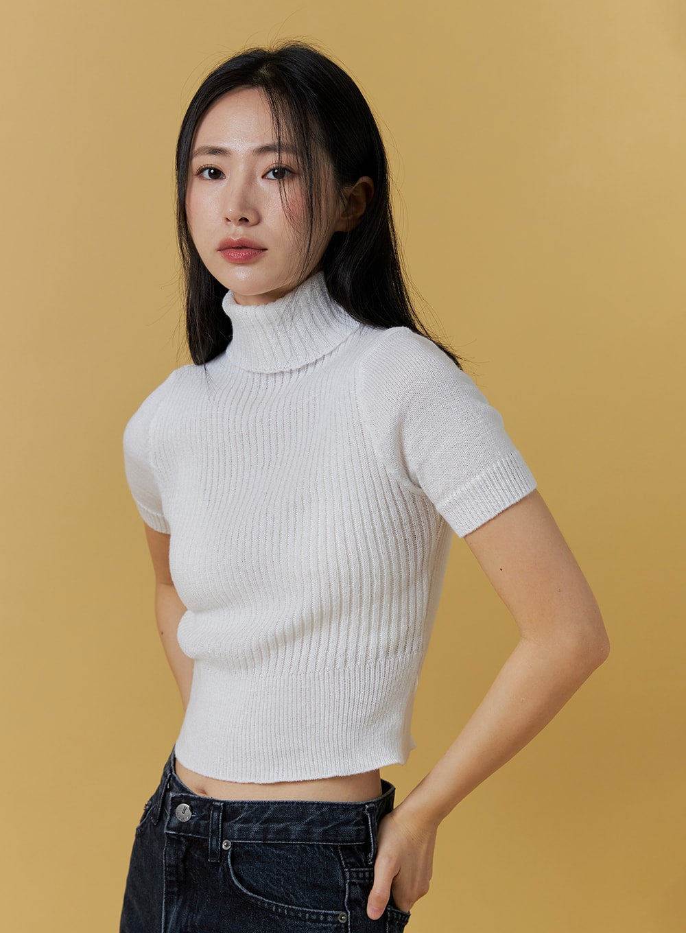 turtle-neck-short-sleeve-top-oo331