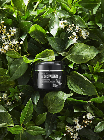 Perilla Brightening Cream Plus (50g)