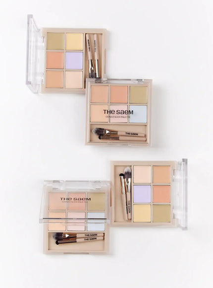 Cover Perfection Concealer Palette (1g*6)