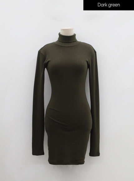 Turtleneck Mini Dress IN24
