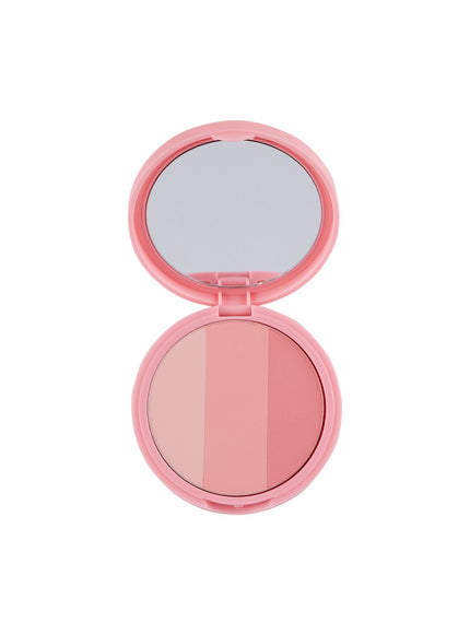 artclass-by-rodin-blusher-9-5g / DE BERRY