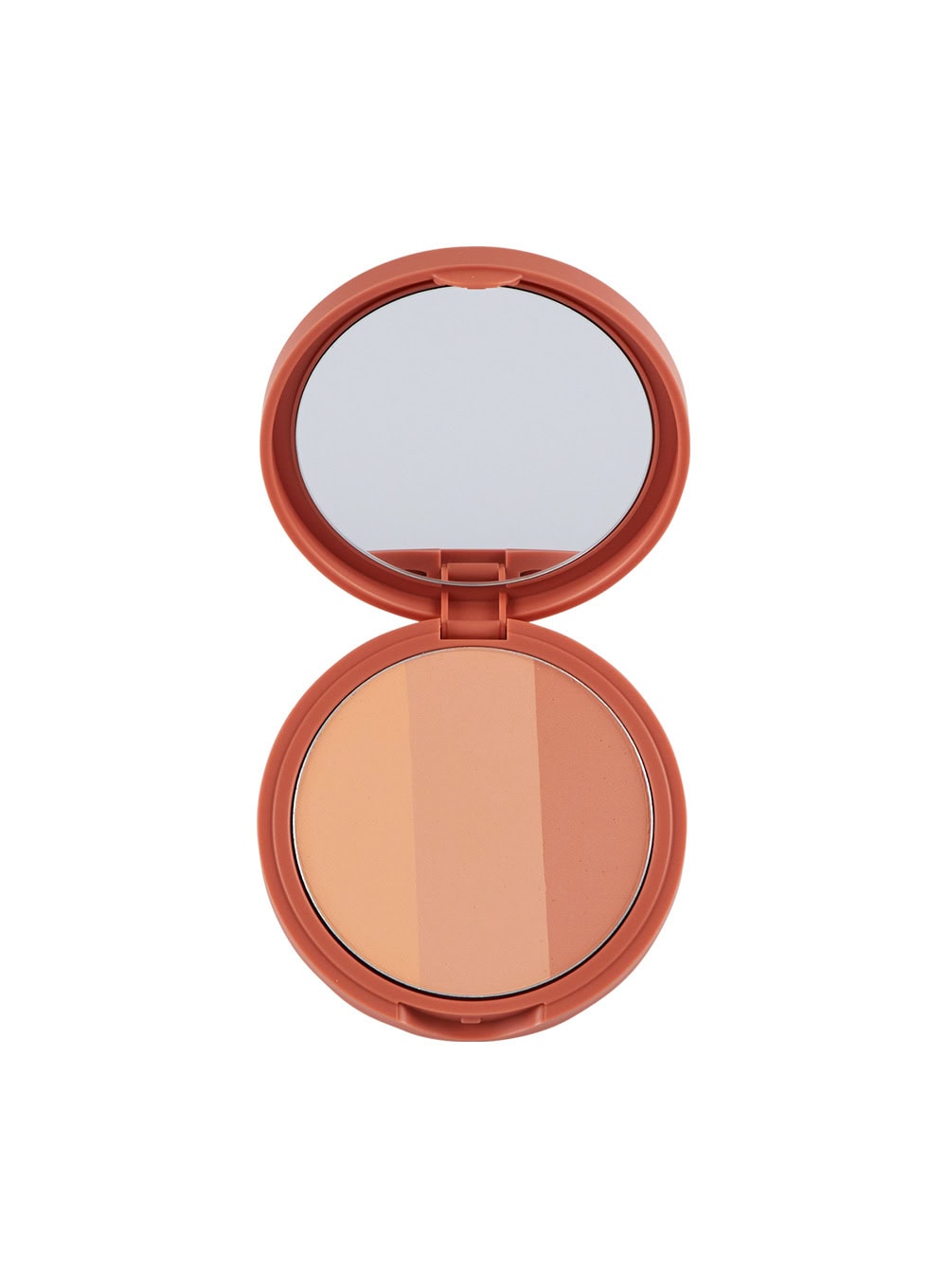 artclass-by-rodin-blusher-9-5g / DE GINGER