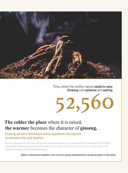 ginseng-mask-120g