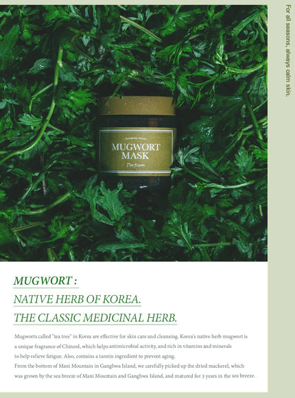 mugwort-mask-110g