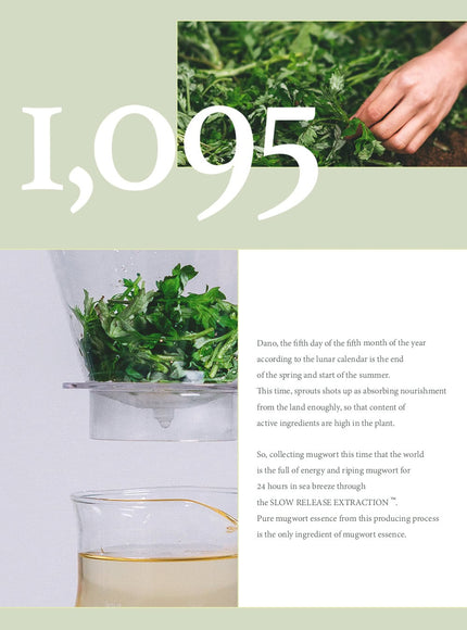 mugwort-mask-110g
