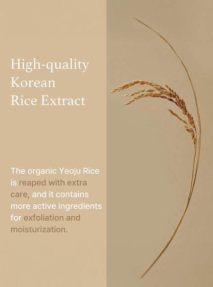 Rice Mask (110g)