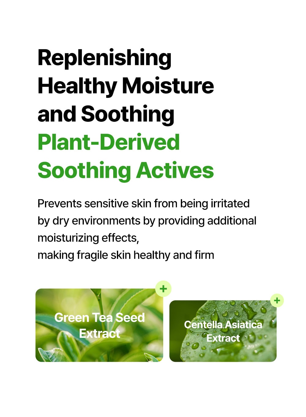 Born Panthenol Two To Serum (50ml)