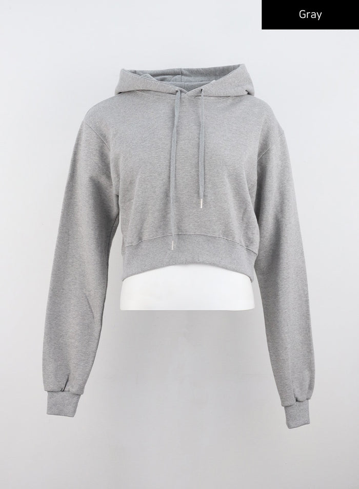 cloud-soft-hoodie-co318 / Gray