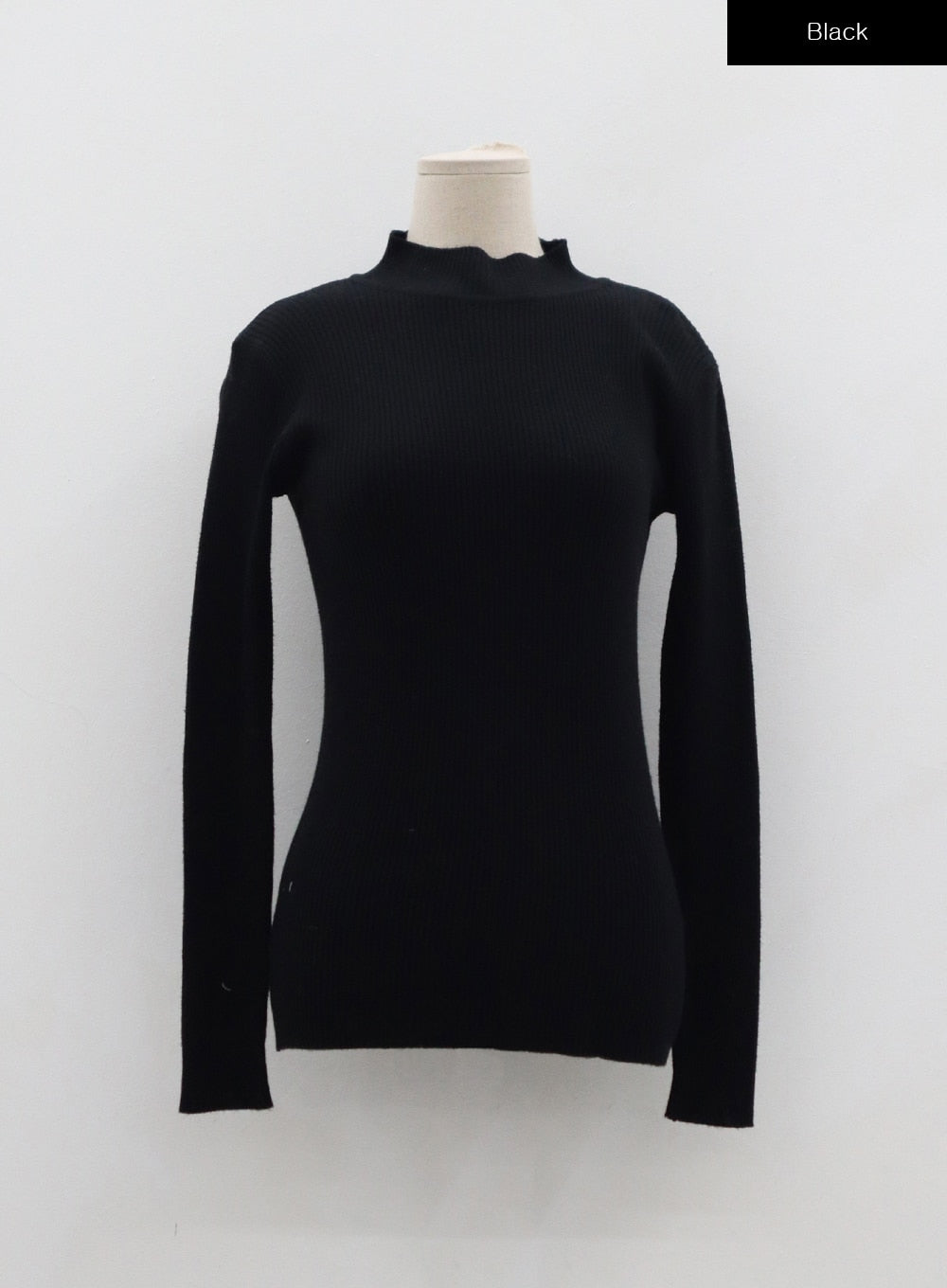 Basic Knit Turtleneck BD07