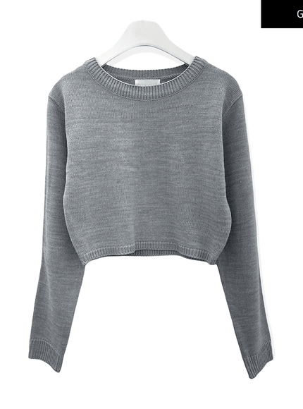Essential Crew Neck Long Sleeve Top F3