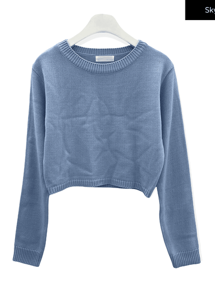 Essential Crew Neck Long Sleeve Top F3