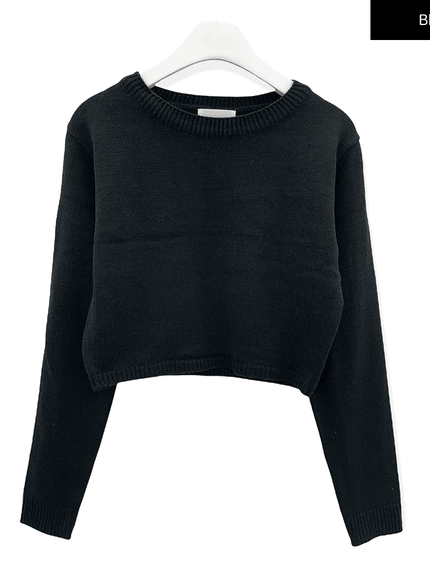 Essential Crew Neck Long Sleeve Top F3