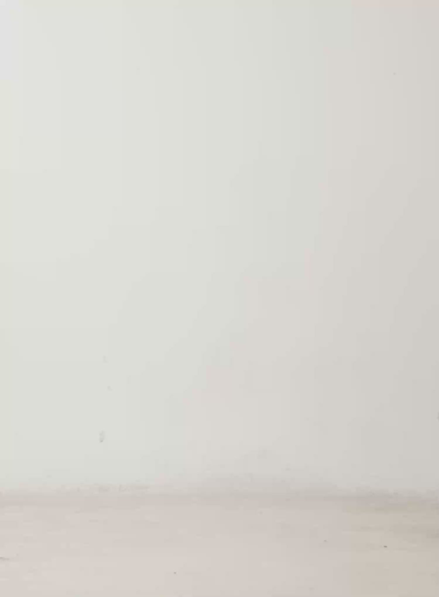 Suede Cropped Hooded Jacket CD512