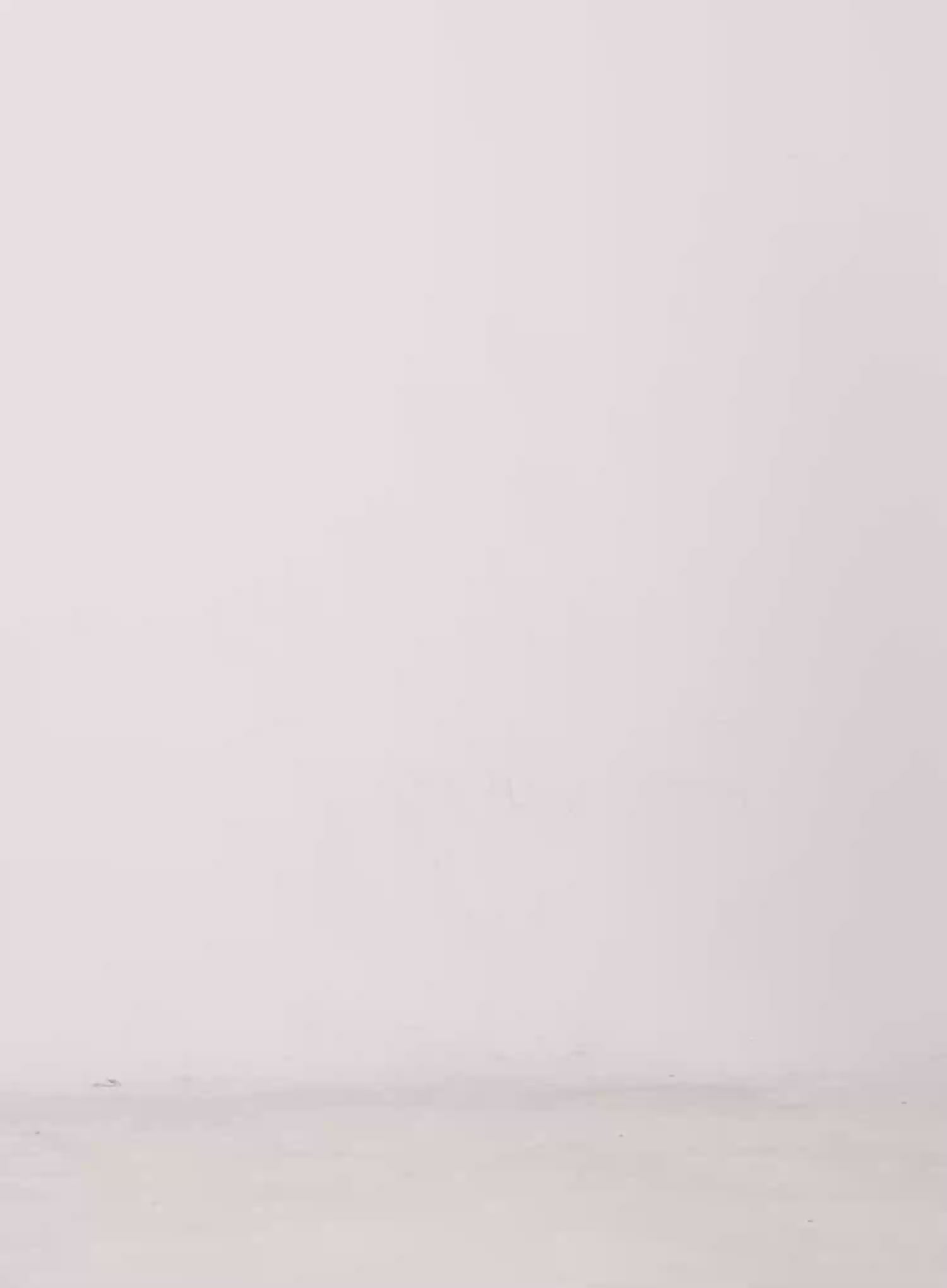 Quarter-Zip Sleeveless Hoodie CU505