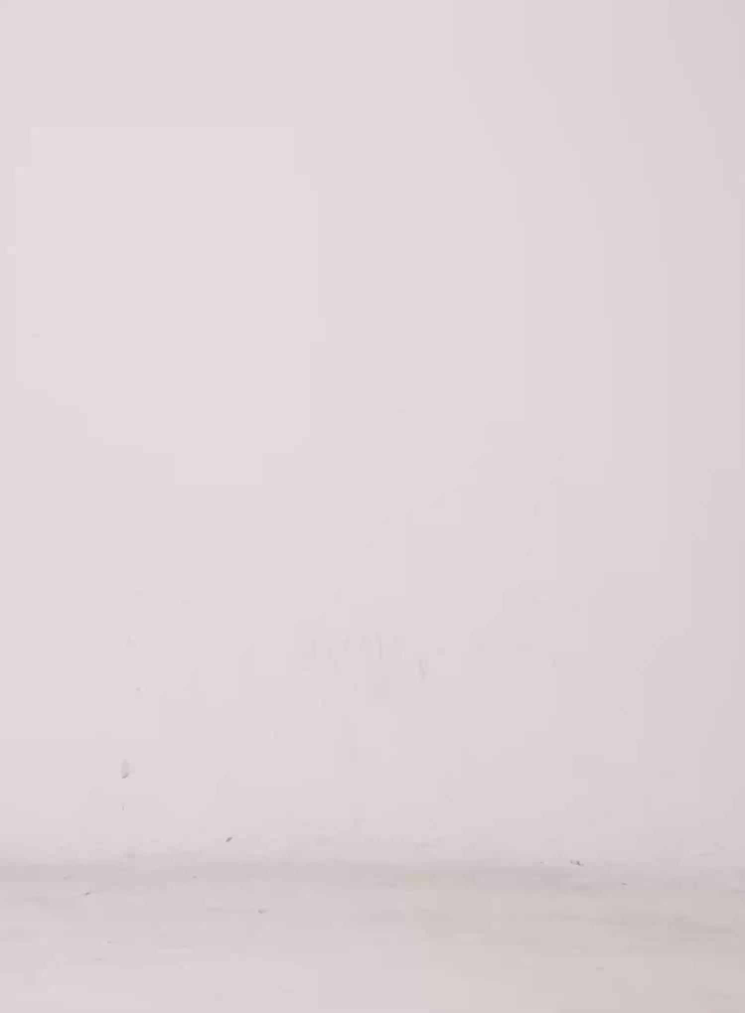 Eyelet Belt Mini Skirt CL528