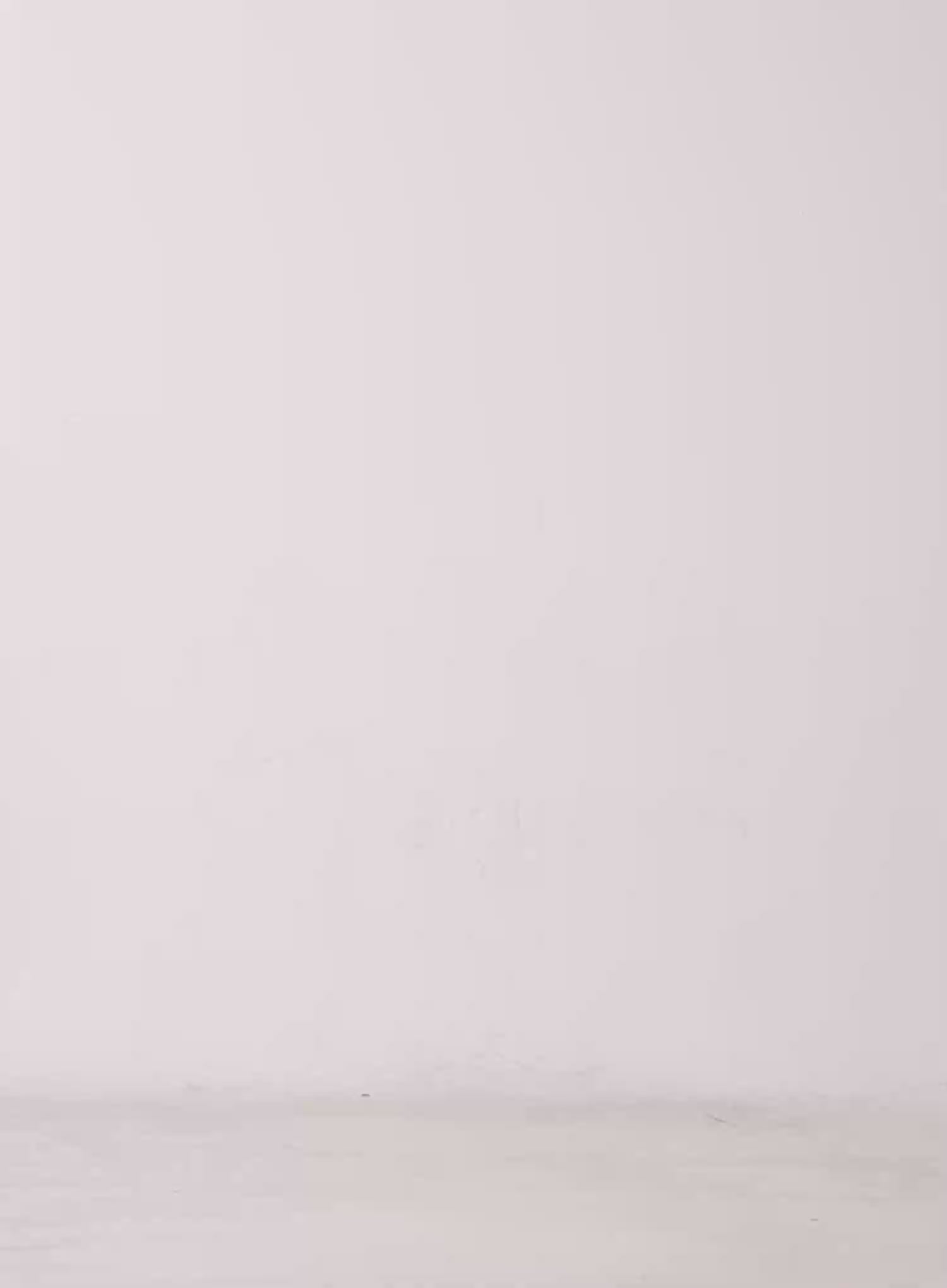 U-Neck Crop Cami Top CU520