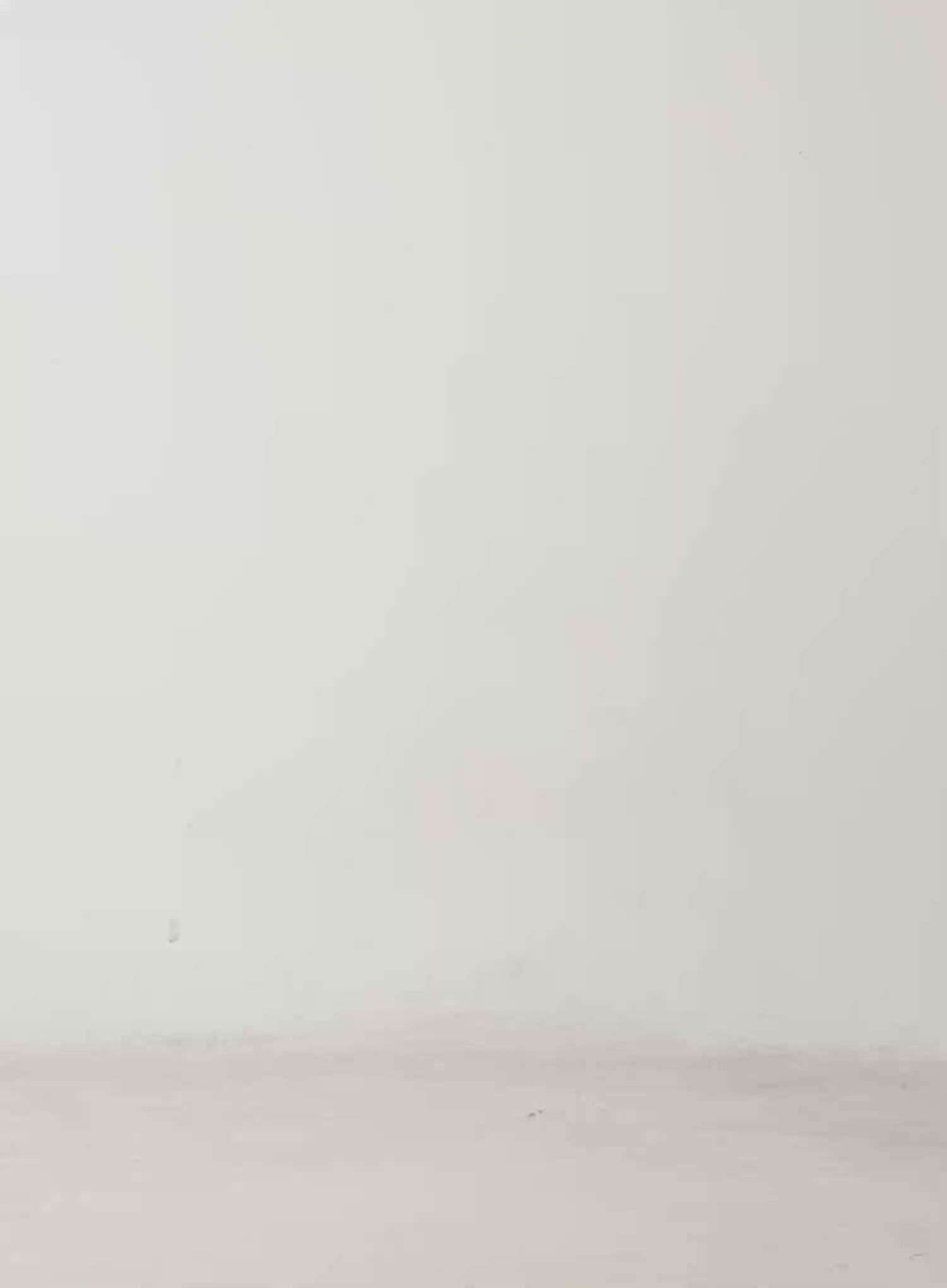 High Waist Cargo Bootcut Pants CD517