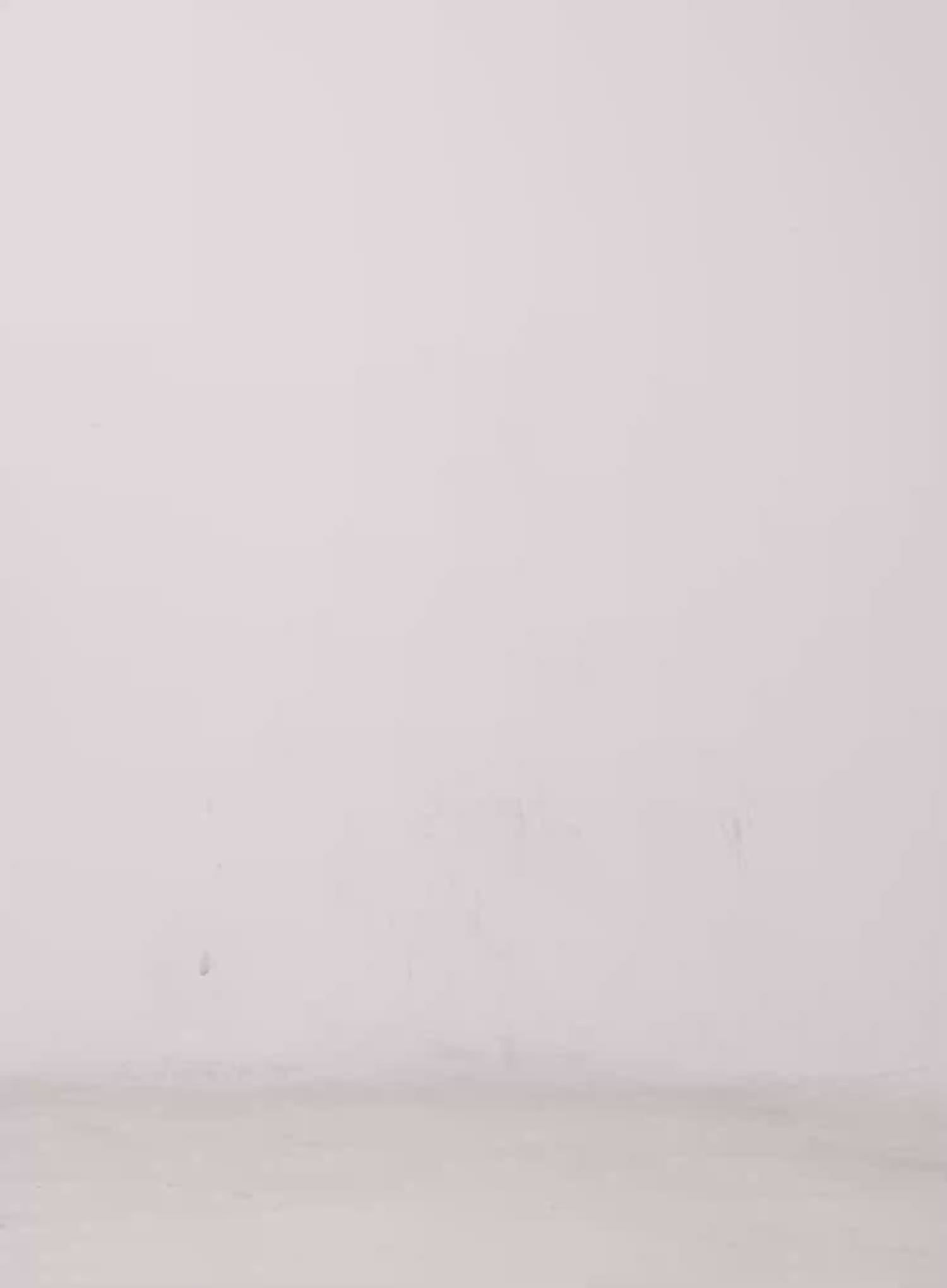 Ashby Crochet Scarf CS529