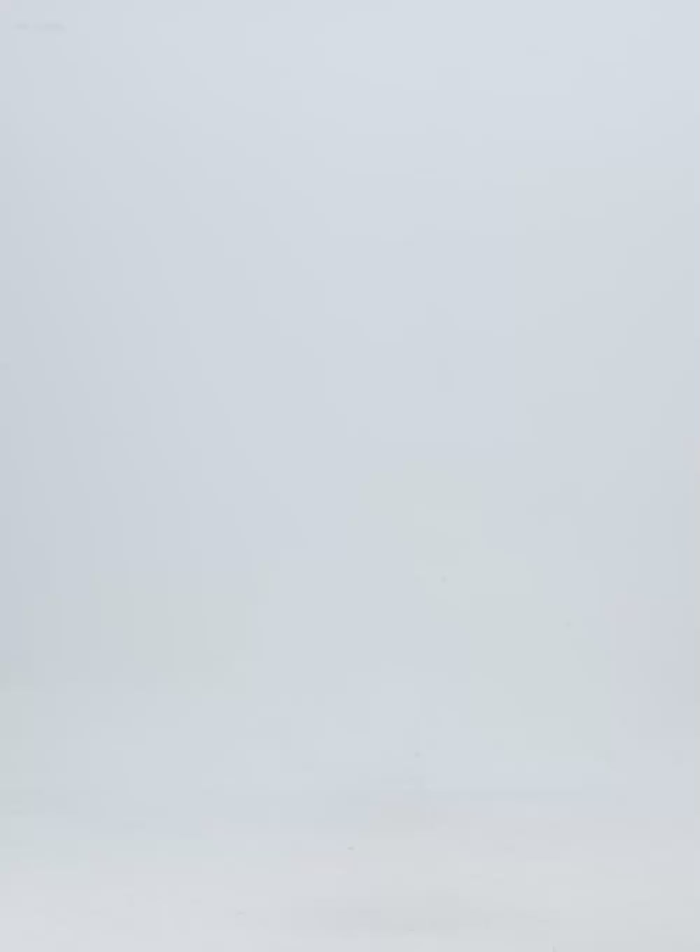 Simple Line Long Sleeve Crop Top IN302