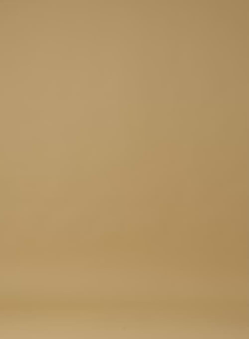 Turtle Neck Short Sleeve Top OO331