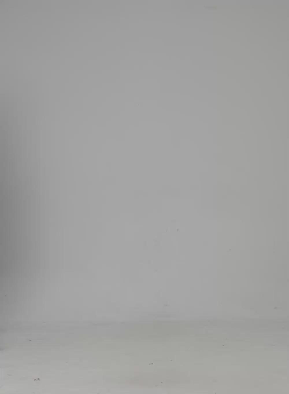 Washed Cargo Jeans IN322