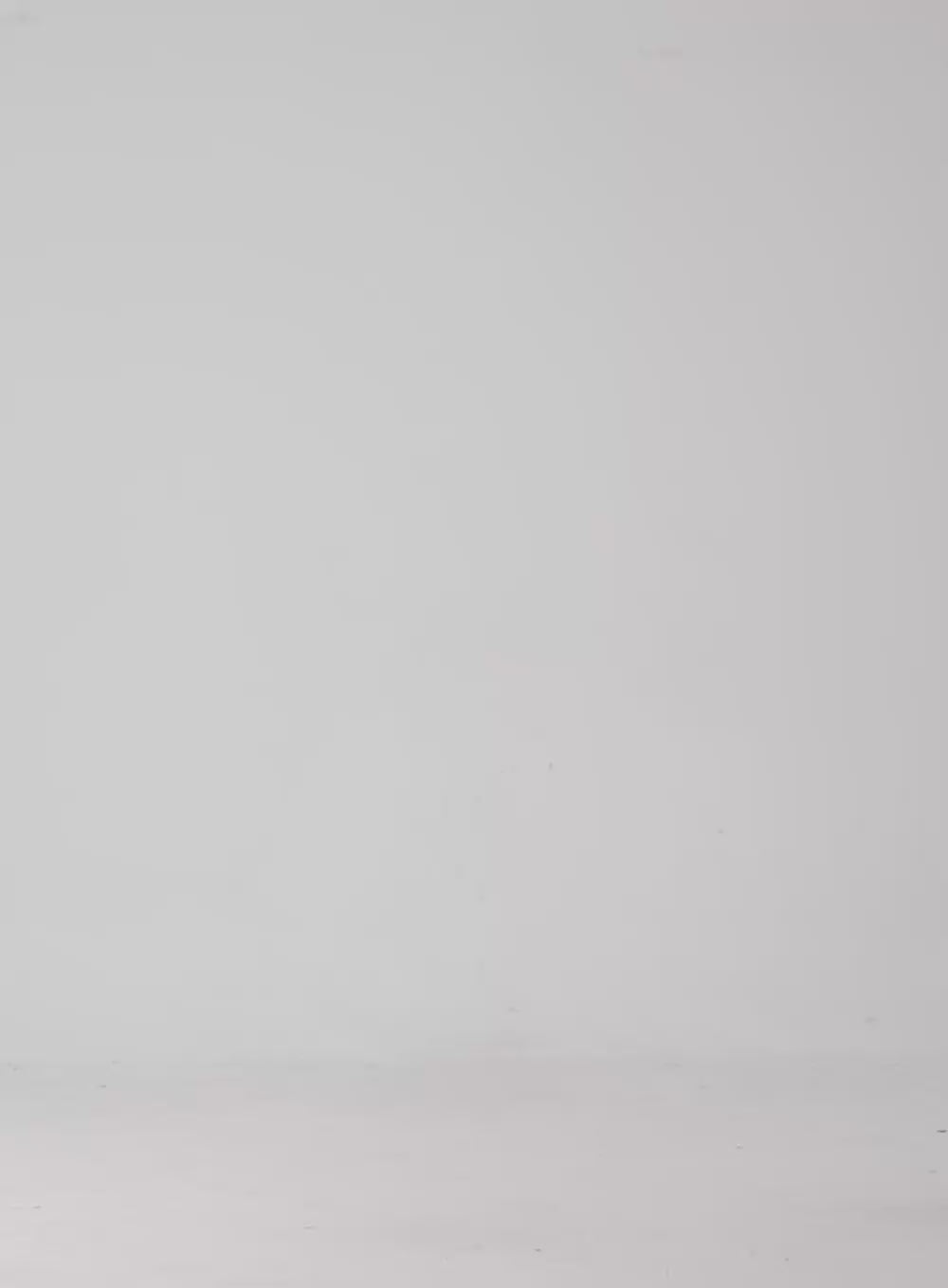 Mid-Rise Wide Leg Jeans CD301