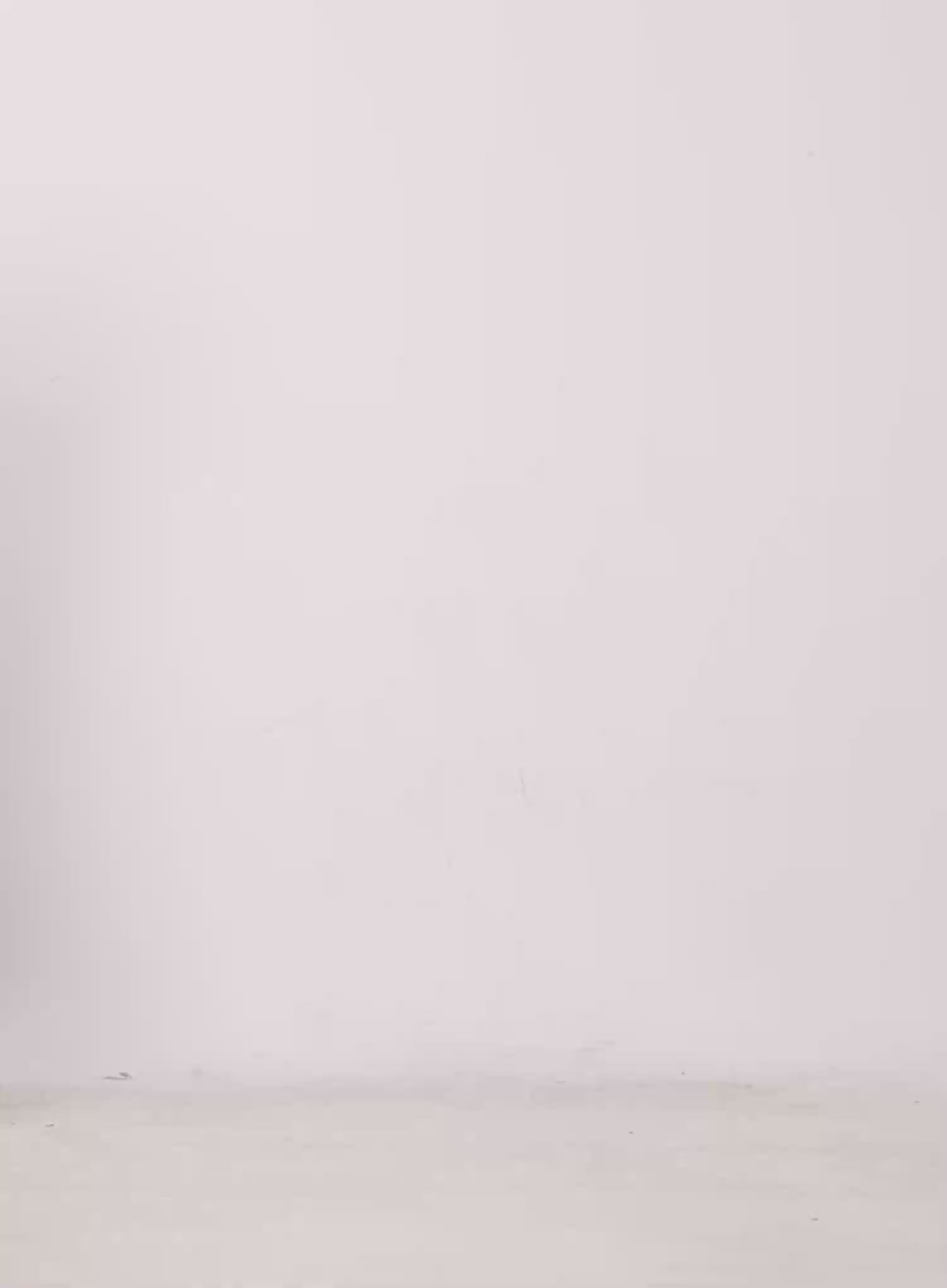 Frill Loose-Fit Shorts CU505