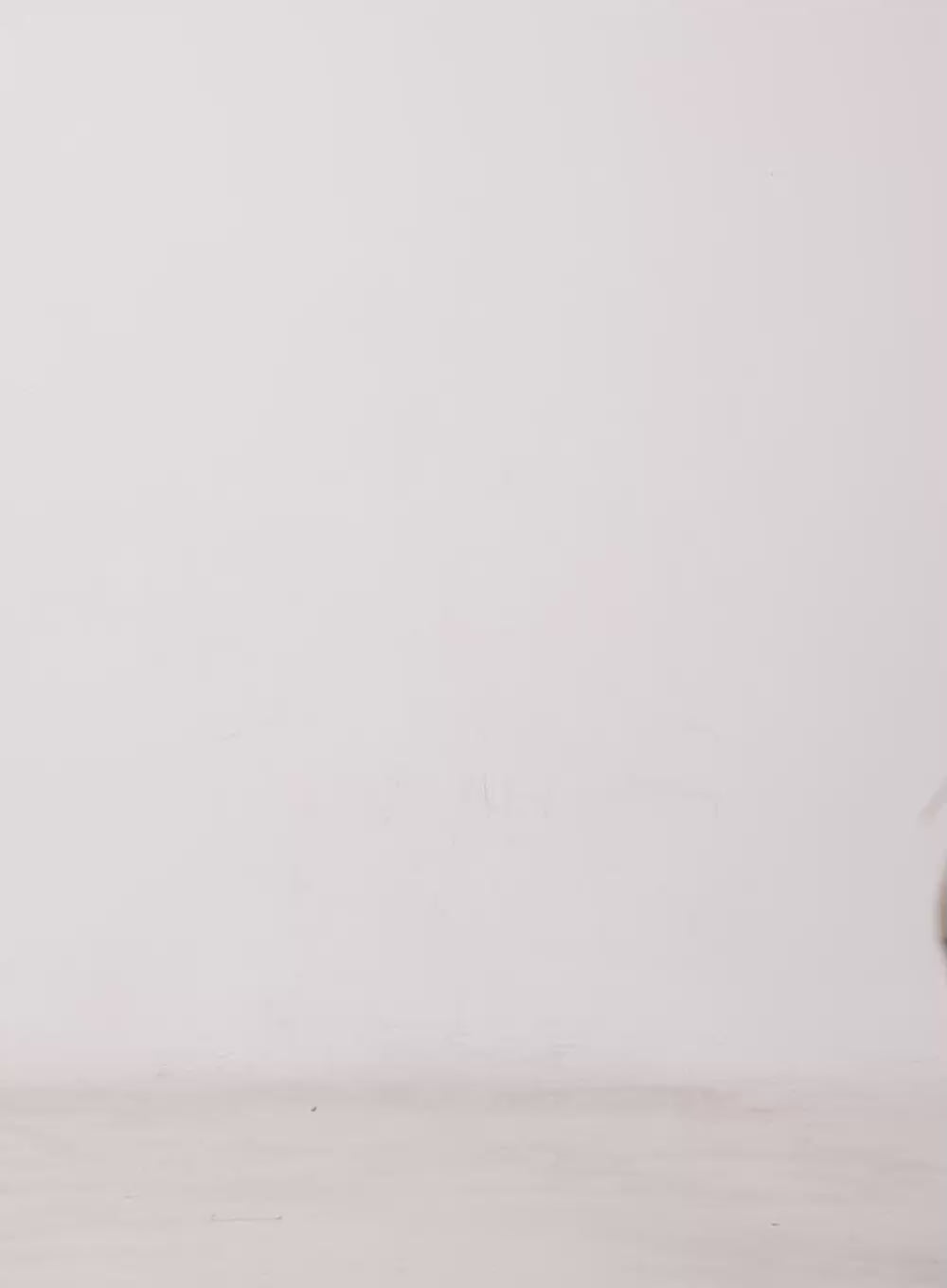 Essential U-Neck Crop Top CY528