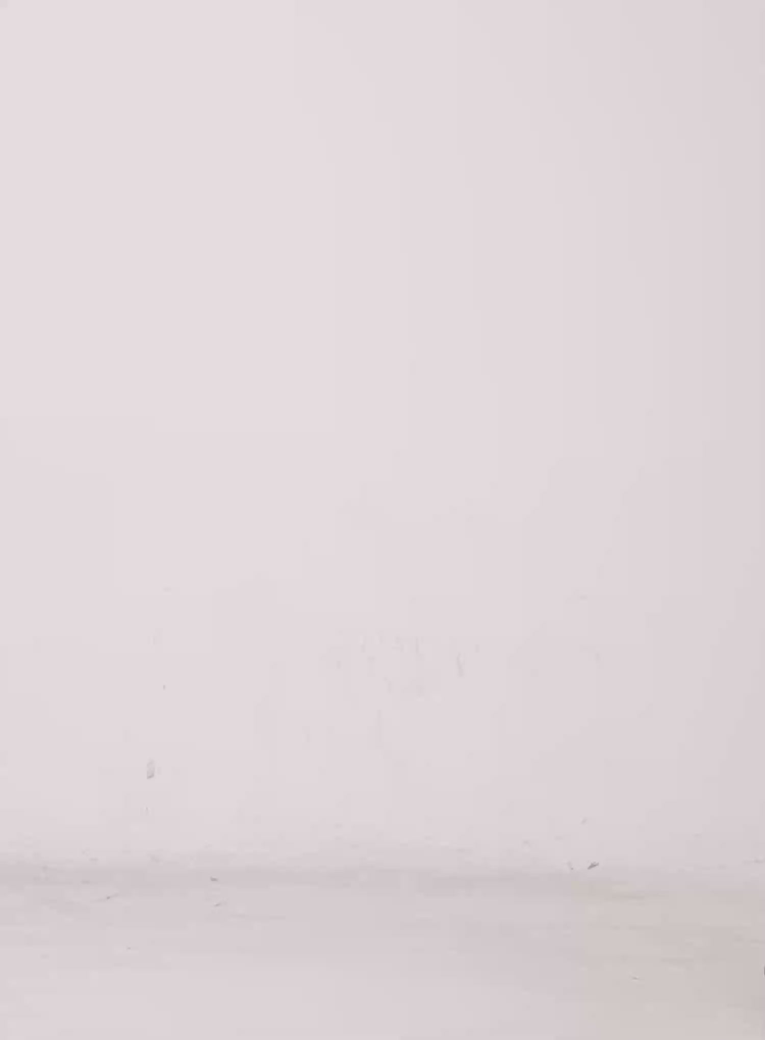 Oversized Graphic Print Tee IG508