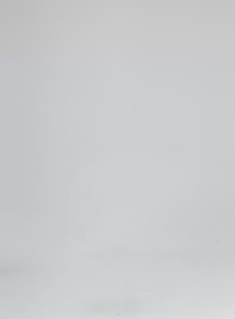 Graphic Long Sleeve Tee CS321