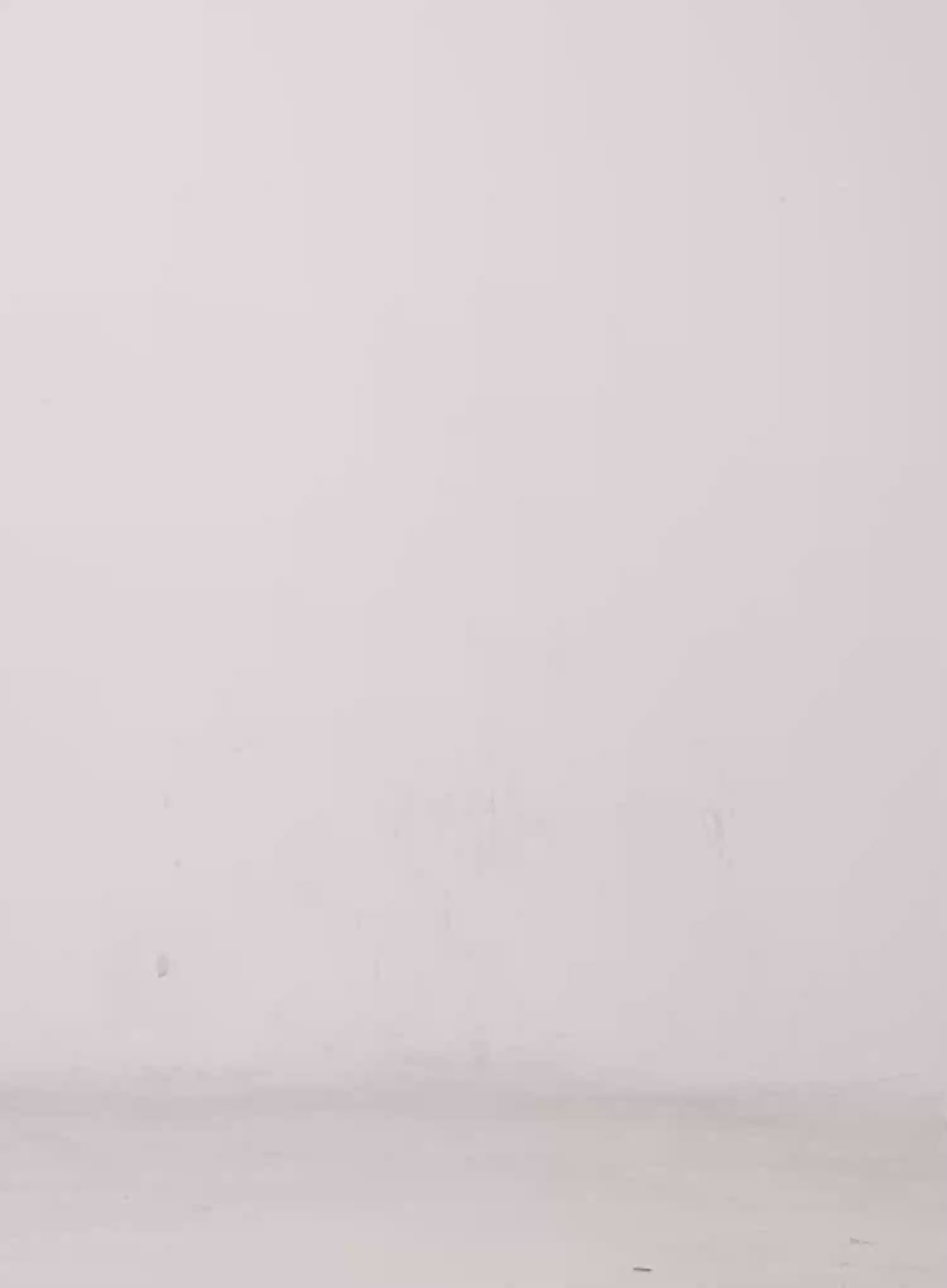 Two-Tone Lace Detail Top CS529