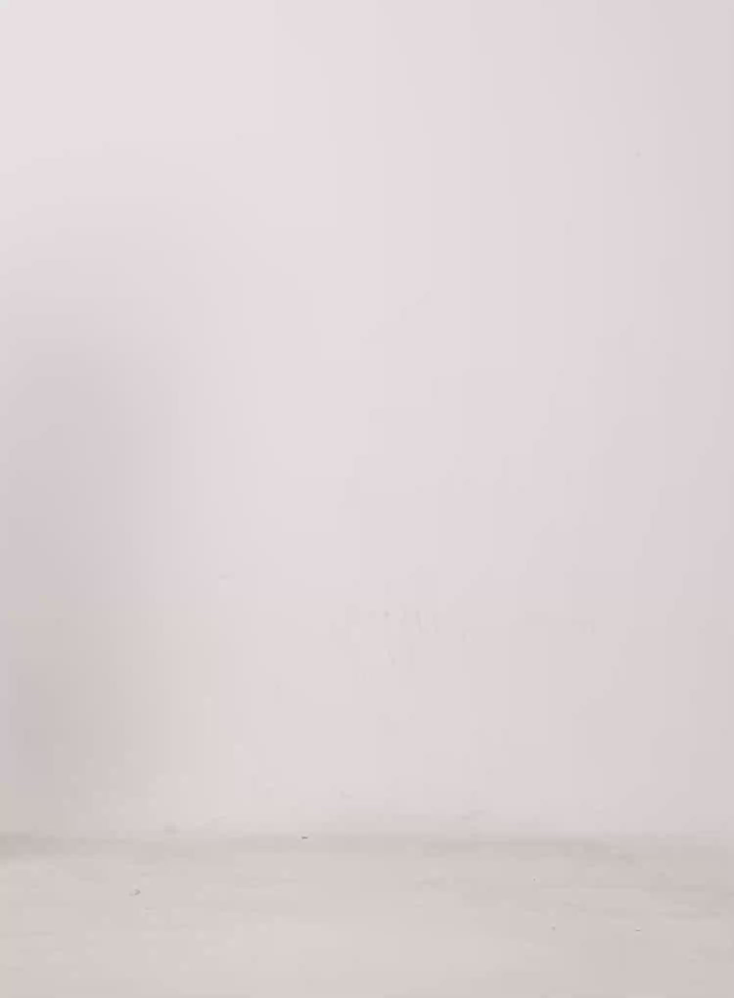 Slim-Fit Collared Long Sleeve Shirt CU518