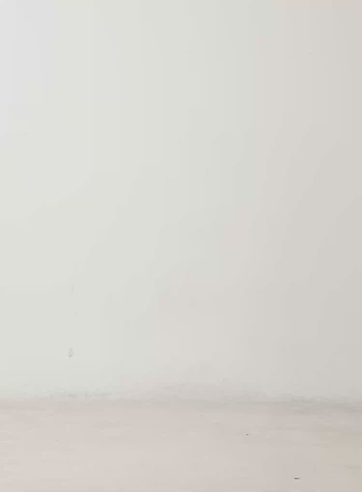 Minj Vintage Wash Wide Leg Jeans CD517