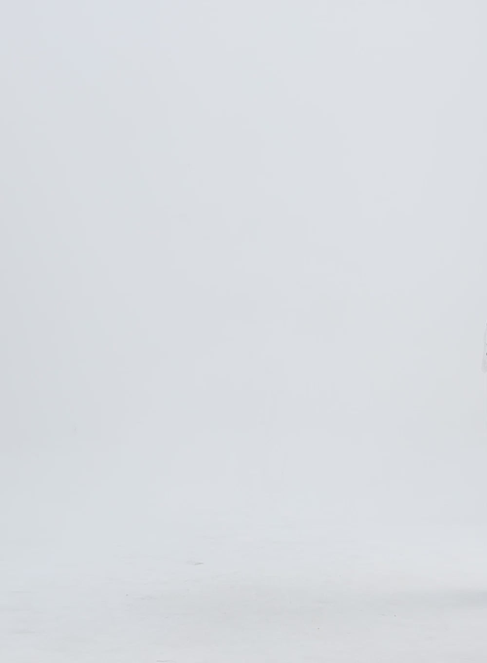 Ripped Sweater BA328