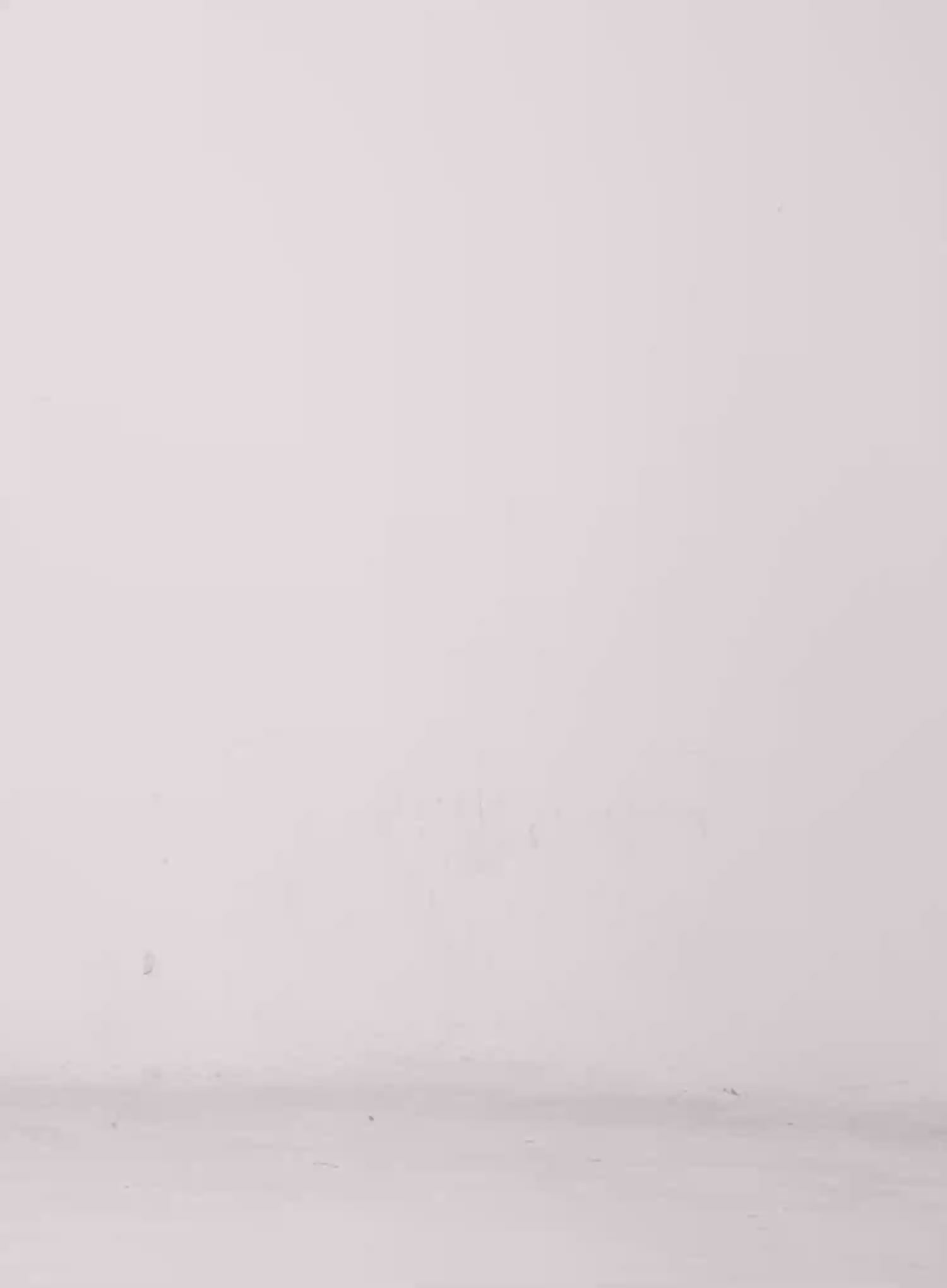 Koko Vintage-Wash Baggy Jeans CL528