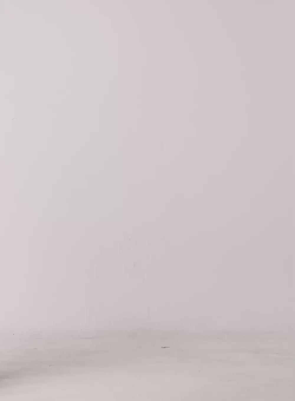 Indira Straight Fit Denim Jeans ON429