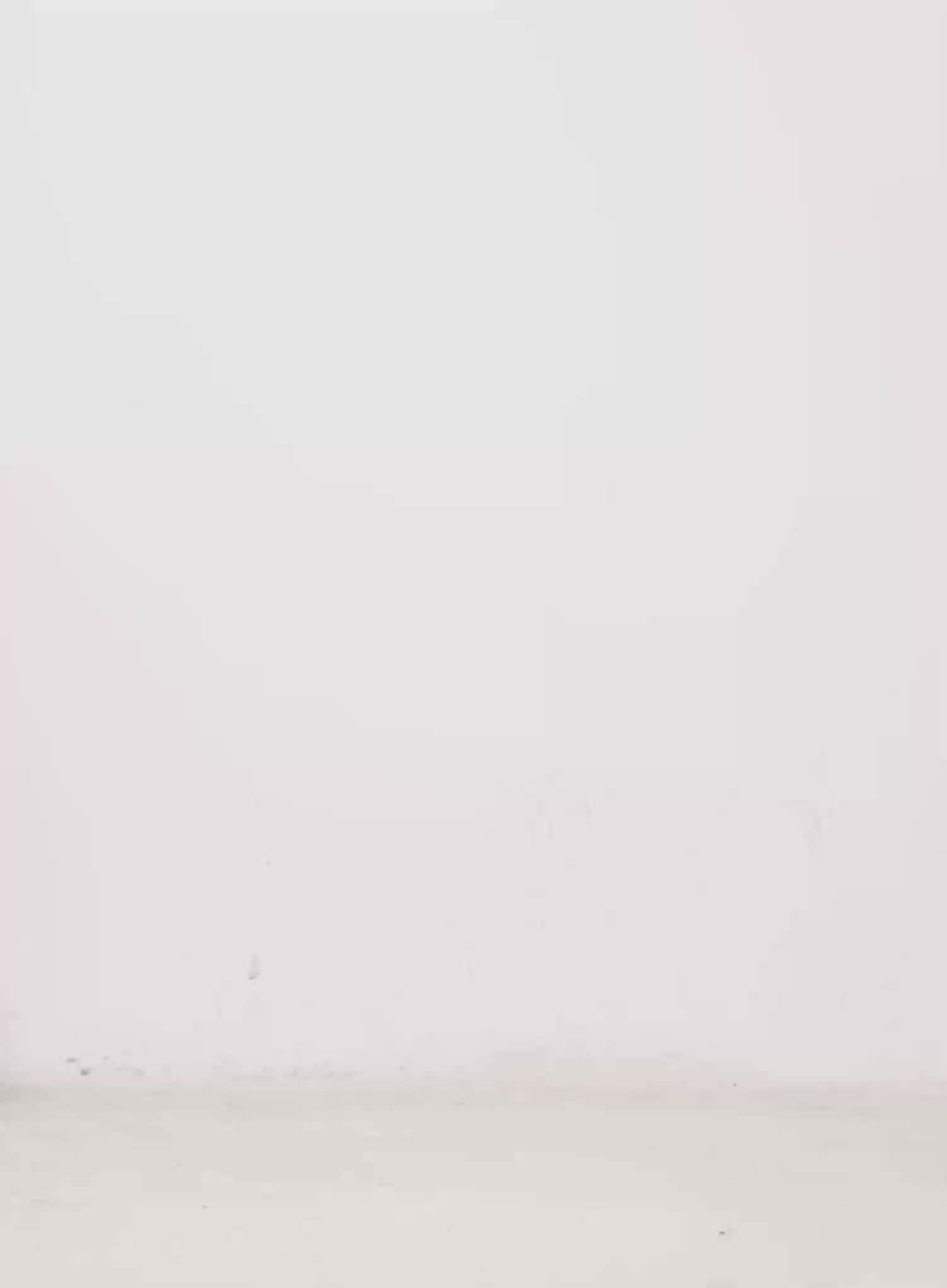 Knit Ribbon Strap Off-Shoulder Top IN514