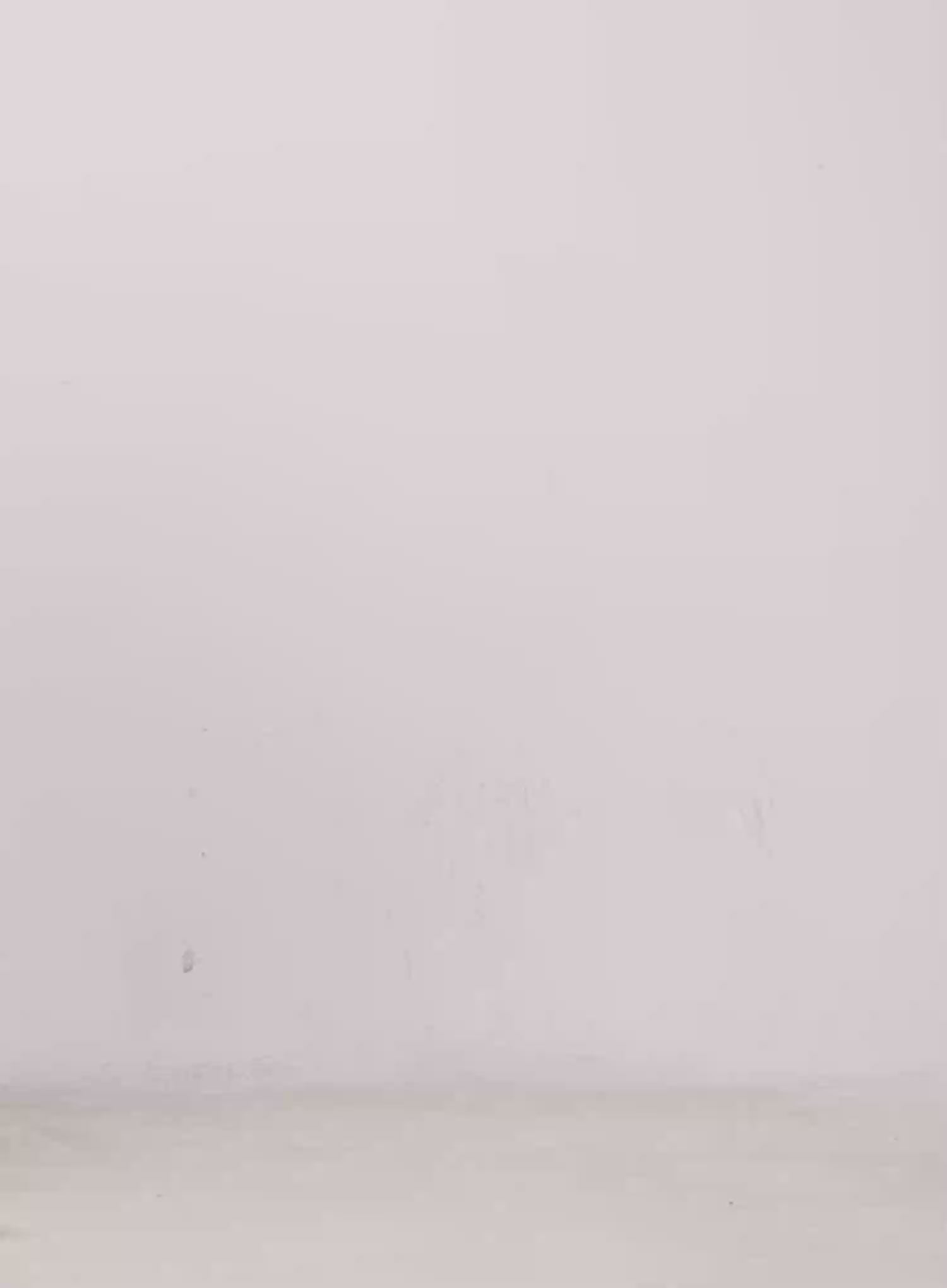 Cozy V-Neck Sweater CS519