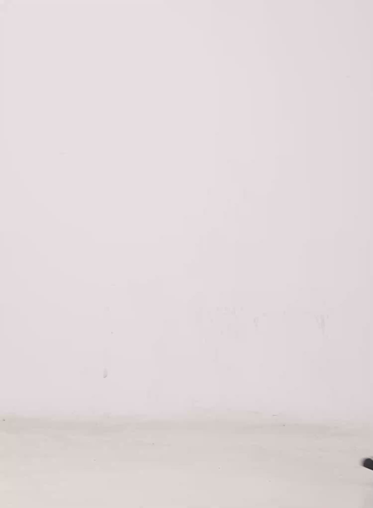 Danbi Washed Wide-Leg Denim Jeans CG501