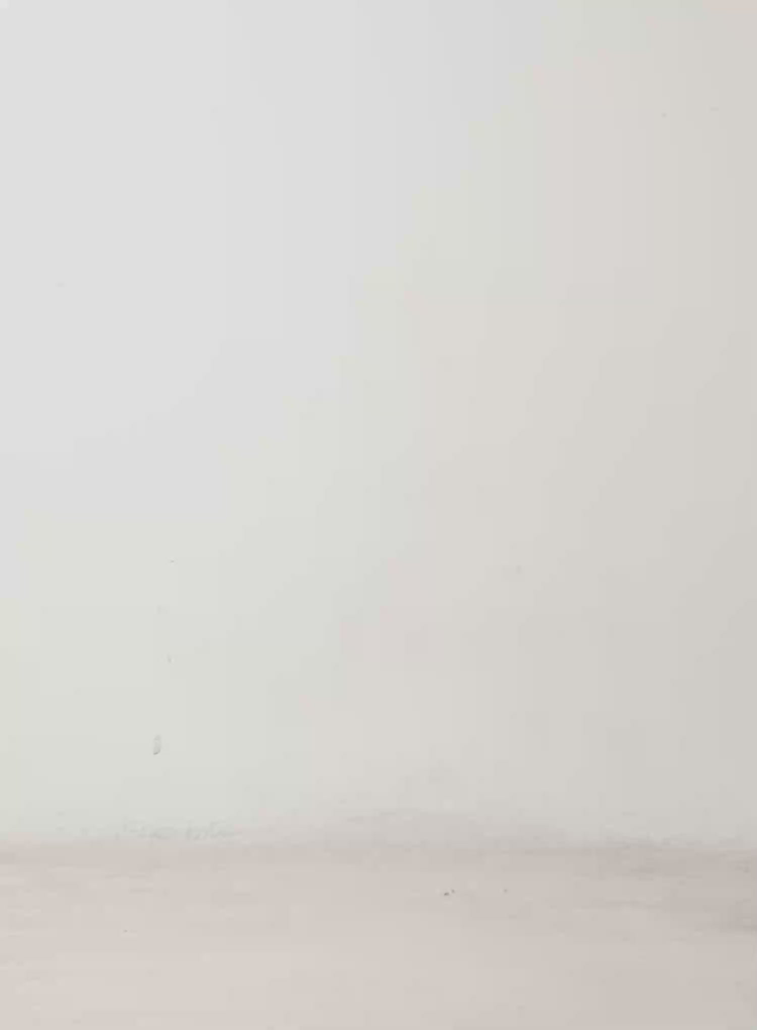 Slit Detail Contrast Turtleneck Top CD515