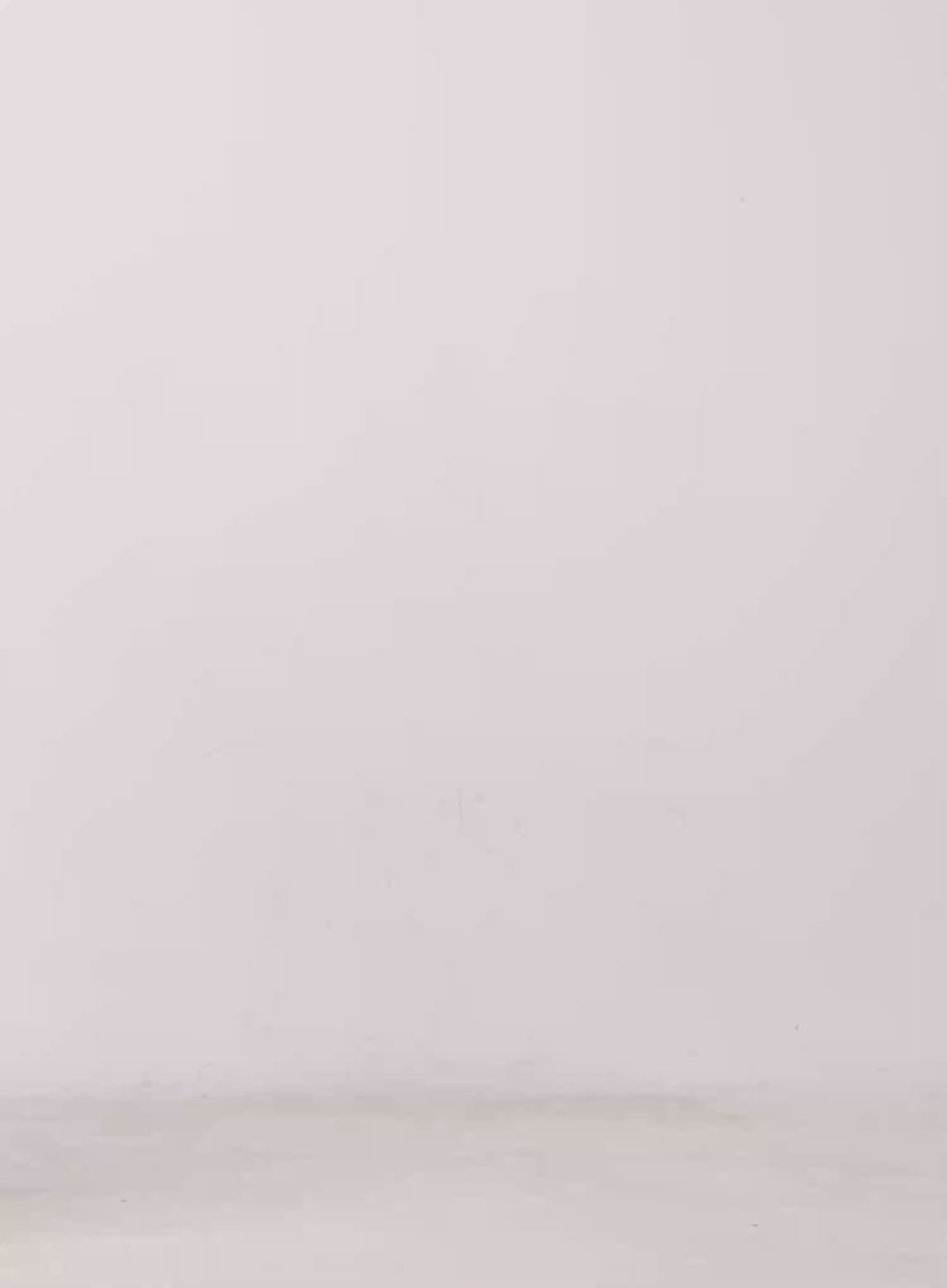 Solid Wide-Fit Cotton Pants CU510