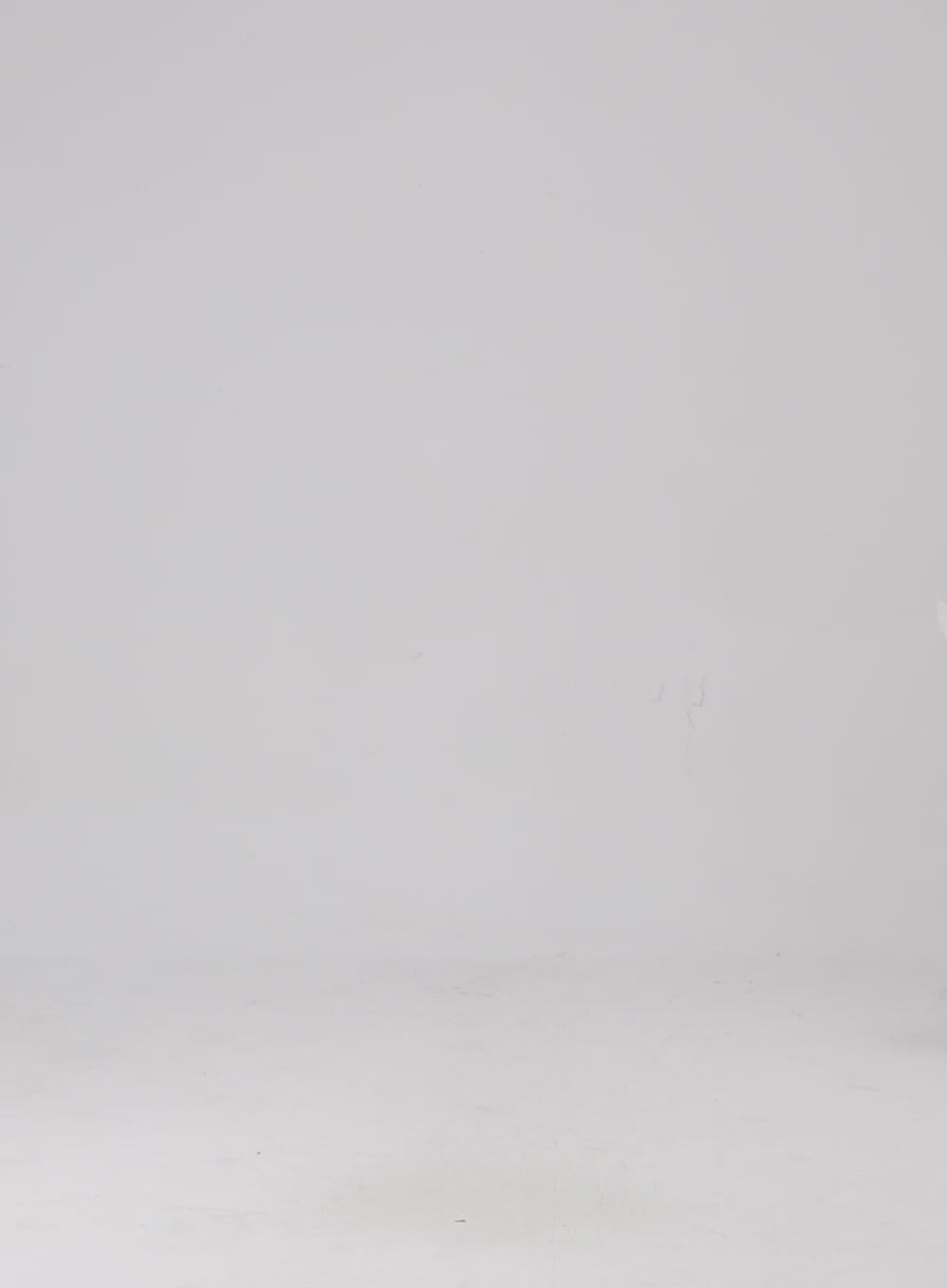 Mesh Crewneck Sweater CL310