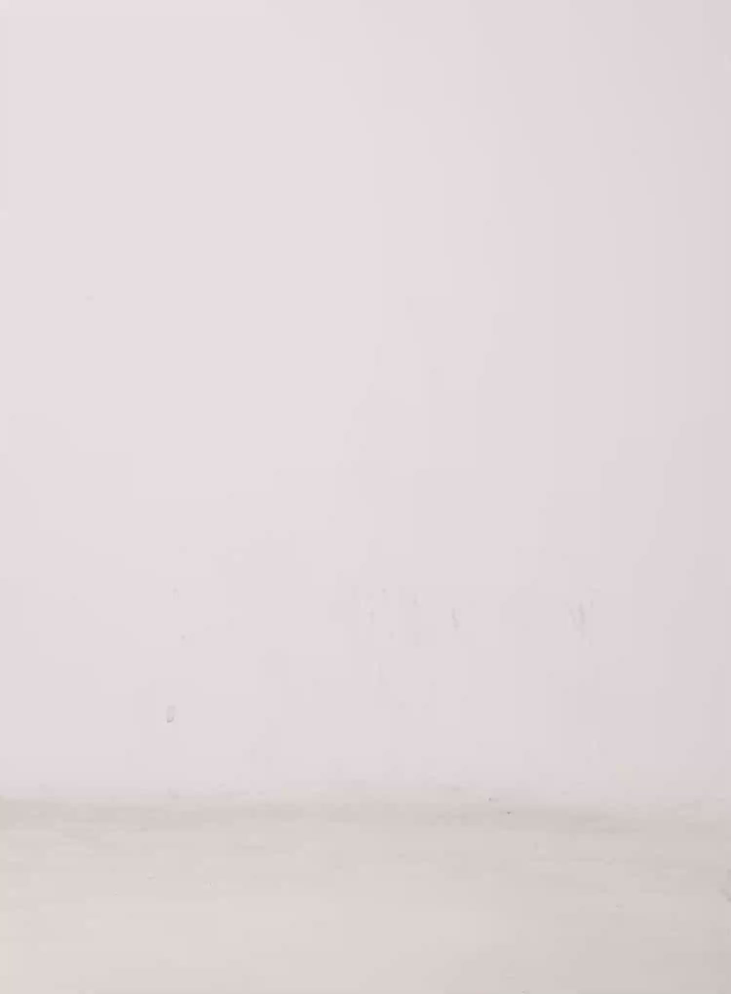 Huening Wide-Leg Jeans CL531