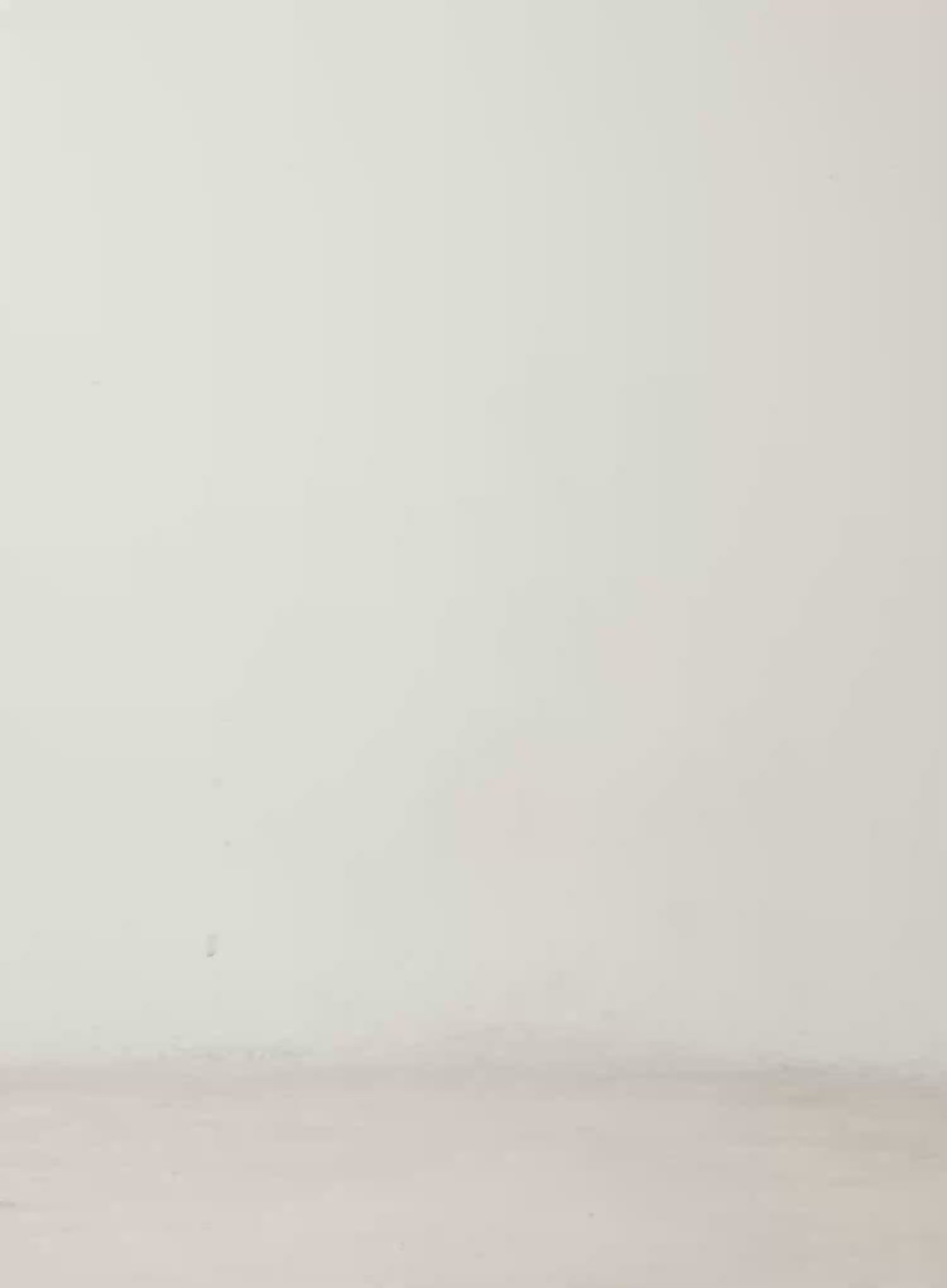 Wide Leg Cotton Pants with Belt Detail CD517