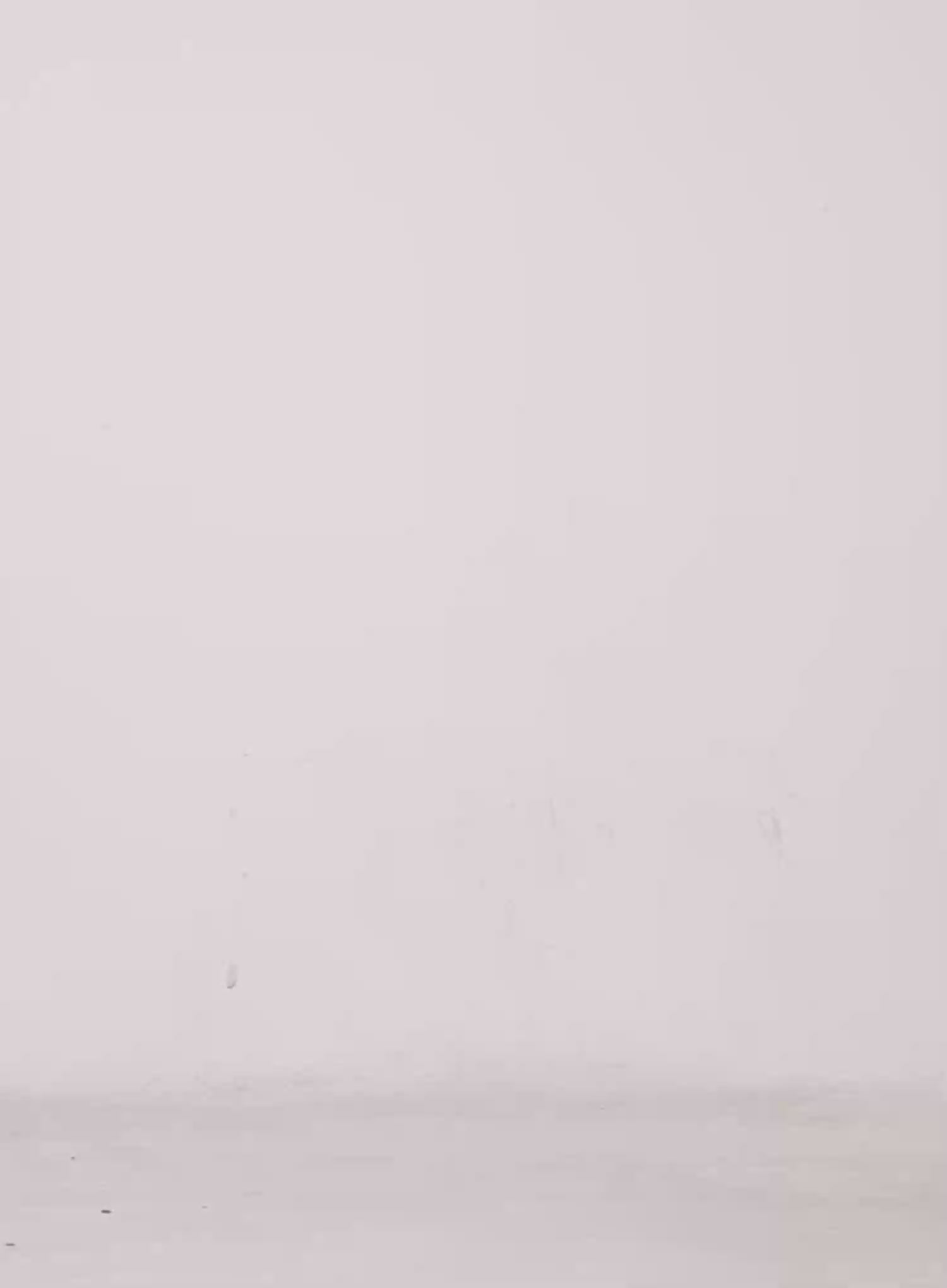 Graphic Lettering U-Neck Long Sleeve CS509