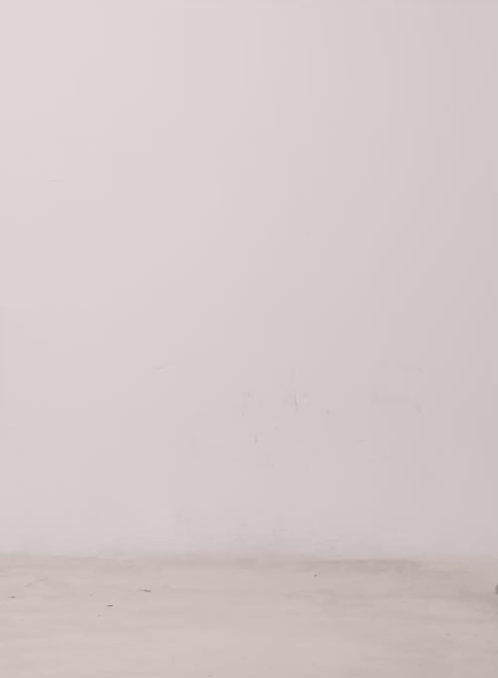 Essential Cotton T-Shirt IM528